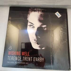 1987 Terrence Trent D'Arby Wishing Well The Cool In The Shade Mix Vinyl Record